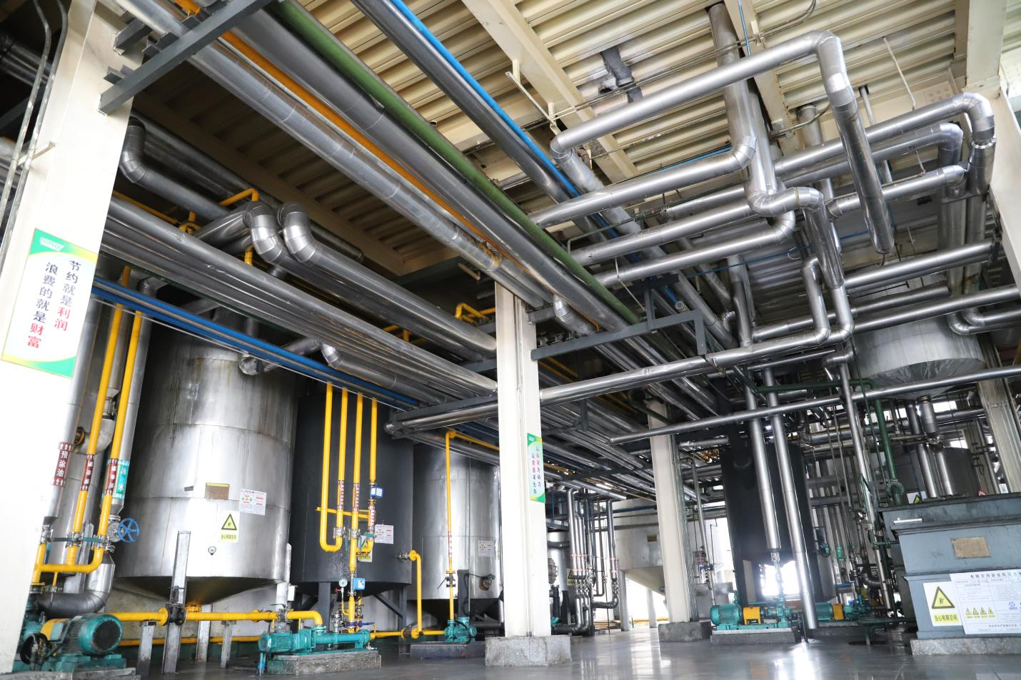 創(chuàng)效在一線|長壽花食品:節(jié)能降耗行在前 強(qiáng)抓技改促效益