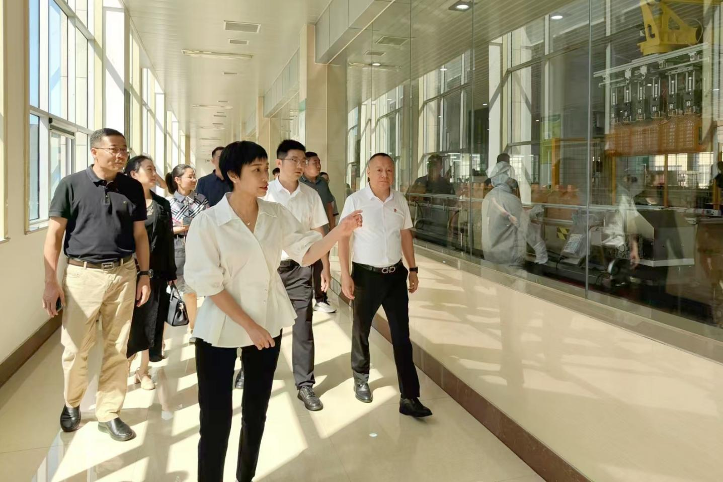 桐廬縣委副書記、縣長張蕙娜到桐廬玉米產(chǎn)業(yè)公司走訪調(diào)研