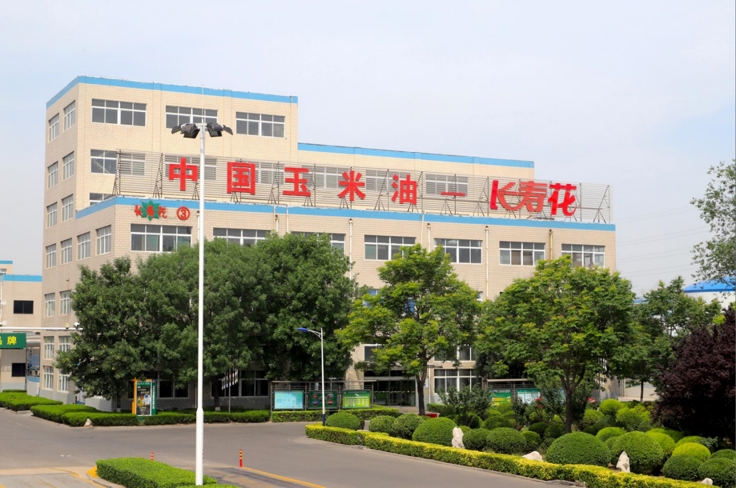 創(chuàng)效在一線|長(zhǎng)壽花食品推進(jìn)技改創(chuàng)新 賦能新質(zhì)力量