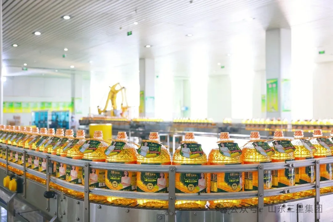 山東三星集團六個項目入選2025年山東?。ǖ谝慌┢髽I(yè)技術創(chuàng)新項目計劃