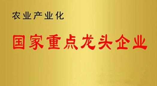 國家重點龍頭企業(yè)！山東三星集團連續(xù)上榜