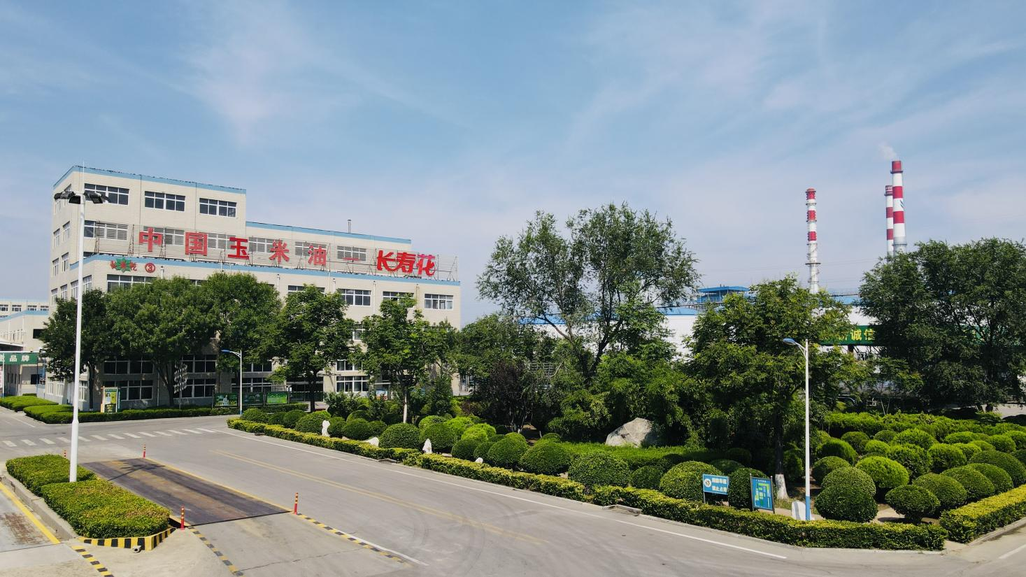 創(chuàng)新驅(qū)動(dòng) 產(chǎn)權(quán)護(hù)航|長壽花食品通過知識(shí)產(chǎn)權(quán)管理體系監(jiān)督審核